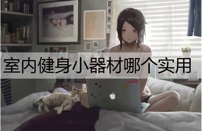 室内健身小器材哪个实用