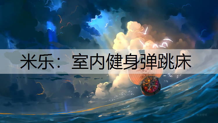 <strong>米乐：室内健身弹跳床</strong>
