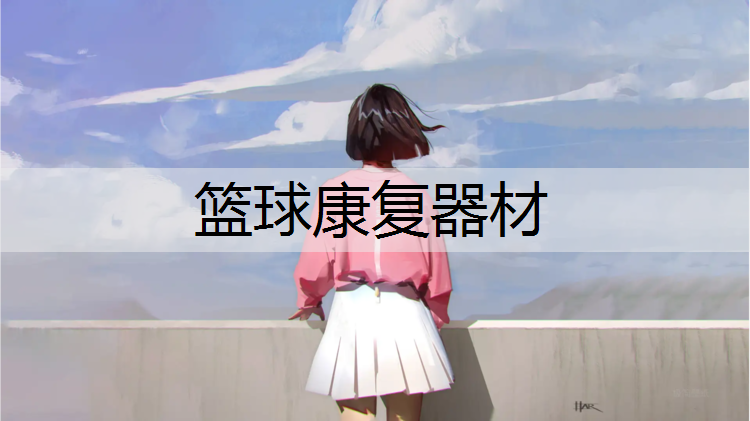 篮球康复器材