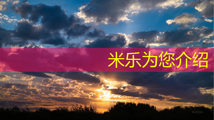 米乐为您介绍：南京篮球塑胶跑道价格