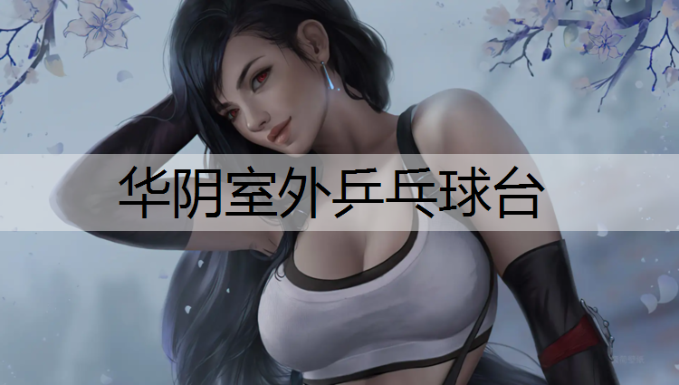华阴室外乒乓球台