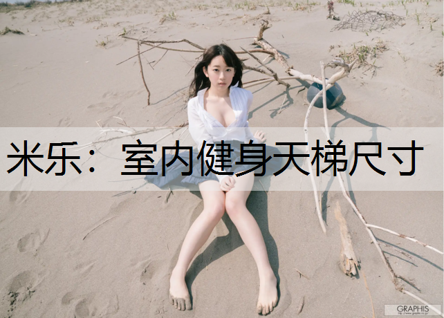 室内健身天梯尺寸