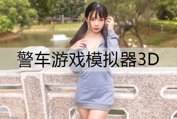 警车游戏模拟器3D