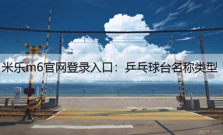 乒乓球台名称类型