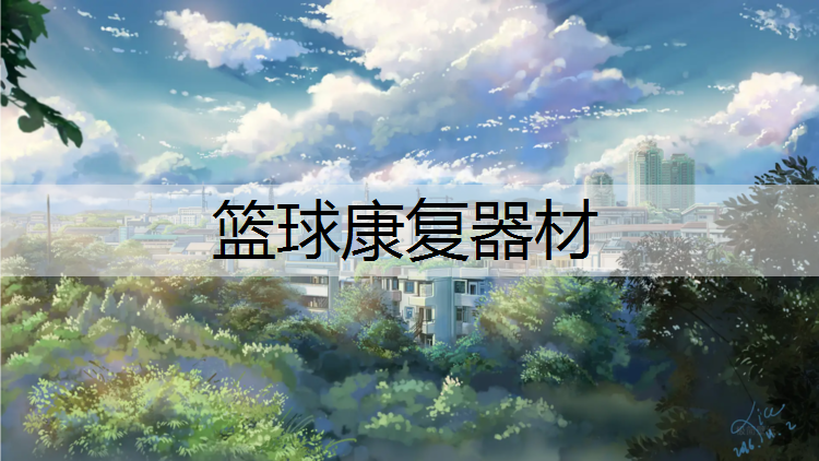 篮球康复器材