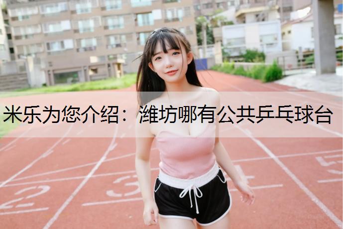 潍坊哪有公共乒乓球台