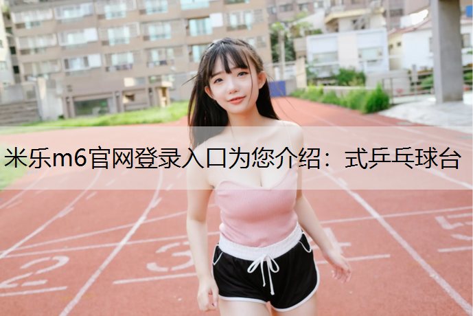 式乒乓球台