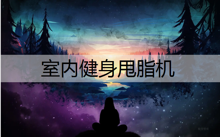 室内健身甩脂机